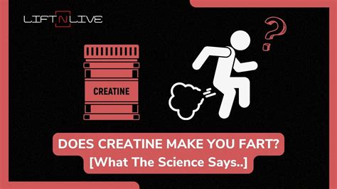 creatine farts|does protein powder make you fart.